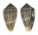 CONIDAE CONUS HYBRIDUS shell