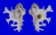 MURICIDAE HOMALOCANTHA ANATOMICA PELE shell