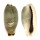 CYPRAEIDAE ERRONEA CYLINDRICA LENELLA shell