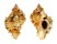 MURICIDAE PHYLLONOTUS OCULATUS shell