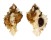 MURICIDAE PHYLLONOTUS OCULATUS shell