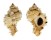 MURICIDAE PHYLLONOTUS OCULATUS shell