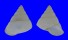 LANDSNAIL PAPUINA ADONIS shell