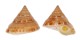 PLEUROTOMARIIDAE PEROTROCHUS ANSEEUWI shell
