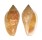 MARGINELLIDAE MARGINELLA SEBASTIANI shell