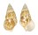 CERITHIIDAE GOURMYA GOURMYI shell