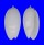 OLIVIDAE OLIVA BULBOSA IMMACULATA shell