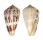 CONIDAE CONUS ERMINEUS ERMINEUS shell