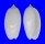 OLIVIDAE OLIVA BULBOSA IMMACULATA shell