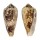 CONIDAE CONUS  TAGAROAE shell