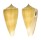 CONIDAE CONUS SULCATUS shell