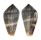 CONIDAE CONUS HYBRIDUS shell