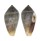 CONIDAE CONUS HYBRIDUS shell