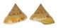 PLEUROTOMARIIDAE PEROTROCHUS ANSEEUWI shell