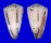 CONIDAE CONUS VIDUA CUYOENSIS shell