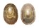 FISSURELLIDAE DIODORA RUPPELLII shell