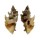 MURICIDAE PROTOTYPHIS ANGASI shell