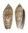 OLIVIDAE OLIVA CIRCINATA shell