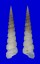 TURITELLIDAE ZARIA cf. DUPLICATA shell