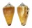 CONIDAE CONUS REGIUS CITRINUS shell