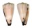 CONIDAE CONUS VIDUA CUYOENSIS shell