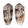 CONIDAE CONUS STERCUSMUSCARUM shell