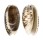 OLIVIDAE OLIVA BULBOSA FABAGINA shell