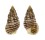 CERITHIIDAE CLYPEOMORUS BREVIS shell