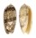 OLIVIDAE OLIVA SERICEA shell
