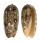 OLIVIDAE OLIVA SERICEA shell