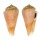 CONIDAE CONUS OTOHIMEAE ROGMARTINI shell
