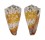 CONIDAE CONUS VIDUA CUYOENSIS shell