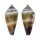 CONIDAE CONUS MURICULATUS shell