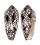 CONIDAE CONUS EPISCOPATUS shell