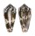 CONIDAE CONUS MAGUS shell