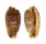 CYPRAEIDAE NOTADUSTA RABAULENSIS shell