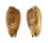 CYPRAEIDAE NOTADUSTA RABAULENSIS shell