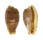 CYPRAEIDAE NOTADUSTA RABAULENSIS shell