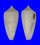 CONIDAE CONUS OISHII shell