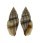 TURRIDAE EUCITHARA ARENIVAGA shell