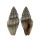 TURRIDAE EUCITHARA ARENIVAGA shell