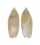 OLIVIDAE AGARONIA BOAVISTENSIS shell
