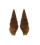 TURRIDAE CRASSISPIRA HARPULARIA shell