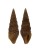 TURRIDAE CRASSISPIRA HARPULARIA shell