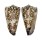 CONIDAE CONUS THALASSIARCHUS shell