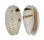 OLIVIDAE OLIVA BULBOSA BICINGULATA shell