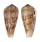 CONIDAE CONUS KINOSHITAI shell