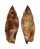 STROMBIDAE STROMBUS TEREBELLATUS shell