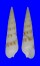 TEREBRIDAE OXYMERIS TROENDLEI shell