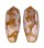 CONIDAE CONUS OBSCURUS shell